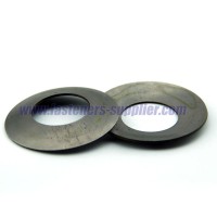 Spring steel dished spring washers Manufacturer