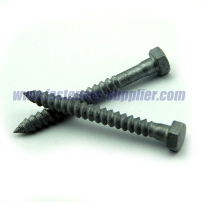 Hot Dip Galvanized Lag Screws metal fastener