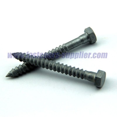 DIN571 hot dipped galvanized Wood Screw