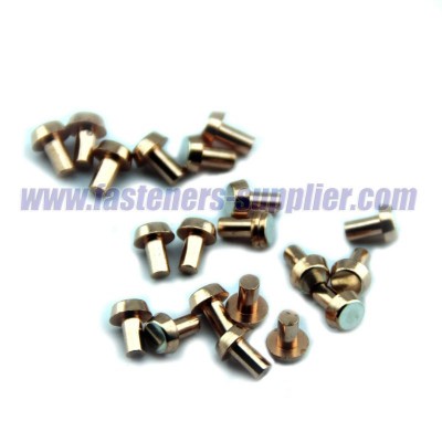 Customized Plain Brass Rivet