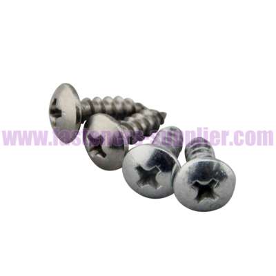 Philip Pan Head C1022 Steel Self Tapping Screw made in China